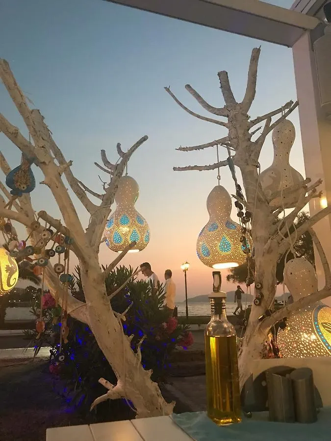Bodrum Gulluk Marina Suites 0*,  Turquía